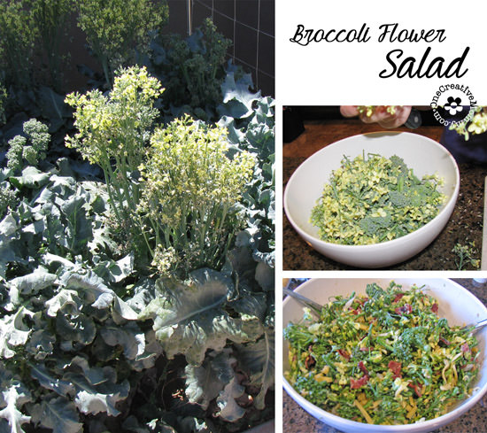 http://onecreativemommy.com/wp-content/uploads/2012/07/broccoli-flower-salad.jpg