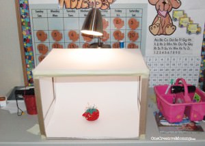 Light Box Setup