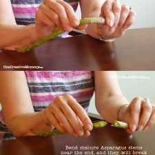 How to remove tough ends of asparagus from OneCreativeMommy {No more guess work!}