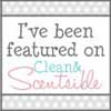 Clean and Scentsible