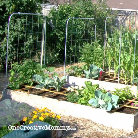DIY #Garden #Trellis from OneCreativeMommy.com {Step by step instructions for creating a trellis from pipe!}