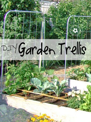 Expand your garden upward with a DIY Garden Trellis! {Picture-filled tutorial from OneCreativeMommy.com}