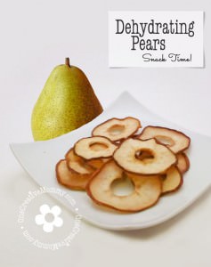 Dehydrating Pears Tutorial from OneCreativeMommy.com {These taste so much like candy that I could eat them all day!}
