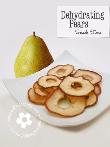 Dehydrating Pears Tutorial from OneCreativeMommy.com {These taste so much like candy that I could eat them all day!}