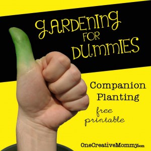#Companion #Planting--Which #Garden Plants Grow Well Together? Free Printable from OneCreativeMommy.com