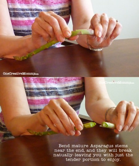 How to remove tough ends of asparagus from OneCreativeMommy {No more guess work!}