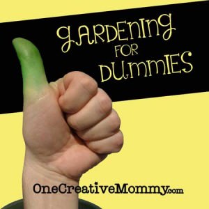 Gardening for Dummies--Funny Tips That Every New Gardener Should Know