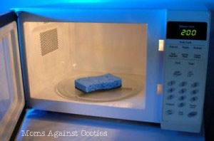 How to Sterilize a Kitchen Sponge from MomsAgainstCooties.com