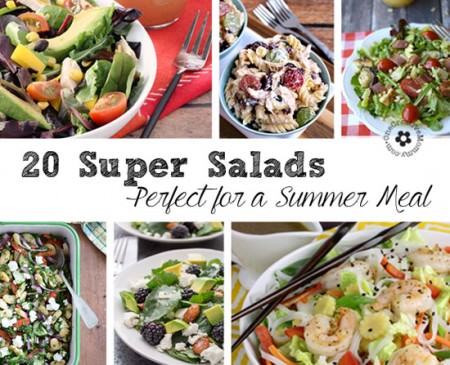 20 Delicious Main Dish Salad Recipes {Perfect for Summer!} OneCreativeMommy.com