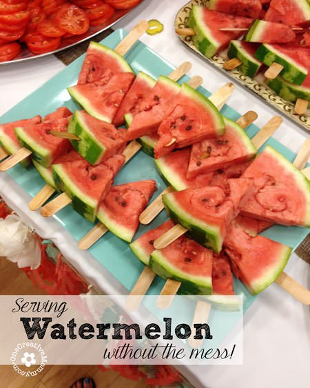 Watermelon on a Stick-- All the yummy flavor without the sticky mess! {OneCreativeMommy.com} #familyreunion