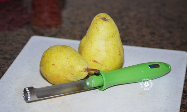 Must-Have Canning Tools -- Fruit Corer