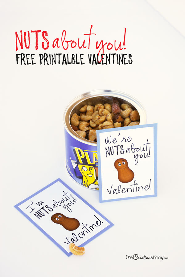 Go nuts this Valentine's Day with this quick and easy printable Valentine. {I'm Nuts About You, Valentine! | We're Nuts About You, Valentine!} Quick and easy Valentine idea from OneCreativeMommy.com