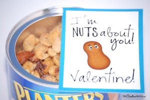 Nuts About You Printable Valentines - onecreativemommy.com