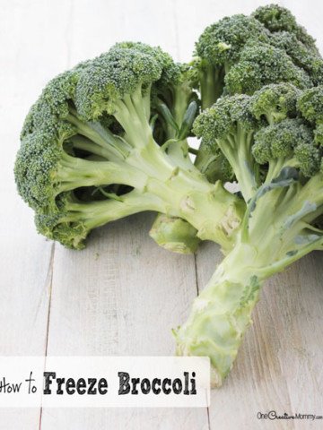 How to Freeze Broccoli -- Home frozen broccoli tastes so much better than store bought! {OneCreativeMommy.com}