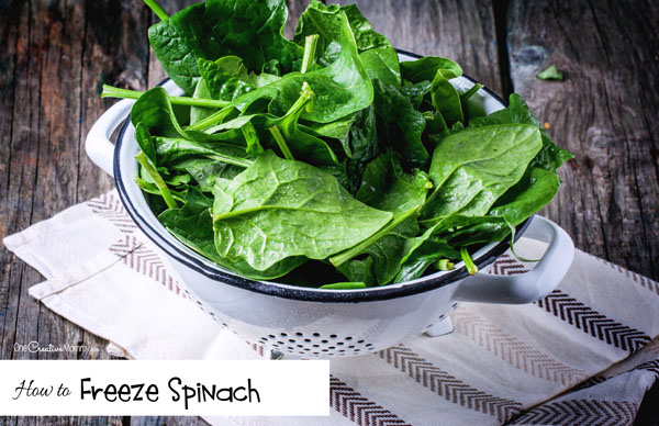 How do you enjoy garden spinach all year long? Freeze it! It's perfect as a side dish, in soups, dips and smoothies. {OneCreativeMommy.com} Simple tips with pictures | How to Freeze Spinach