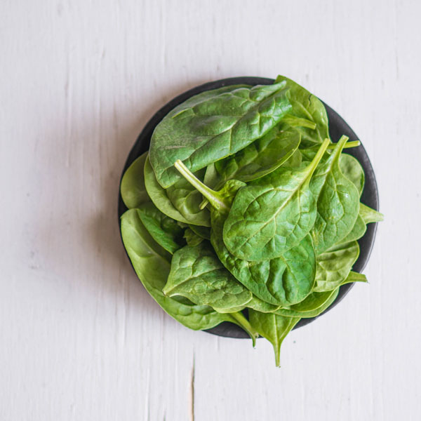 How do you enjoy garden spinach all year long? Freeze it! It's perfect as a side dish, in soups, dips and smoothies. {OneCreativeMommy.com} Simple tips with pictures | How to Freeze Spinach